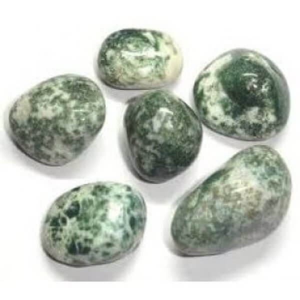 tree agate tumble-1100