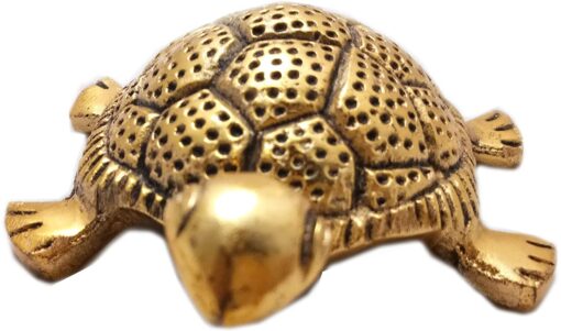 Antique Turtle with plate - Image 3