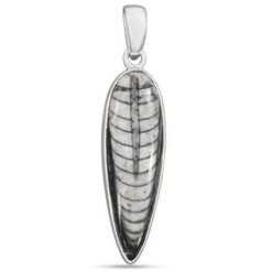 Pendant (Kuber Finance Pendant)