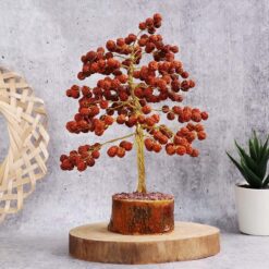 Rare Rudraksha Religious Tree Shiva's teardrops | Rudraksha Tree for Good Luck, Health, Wealth, Prosperity and Spiritual Bliss - 108 Beads